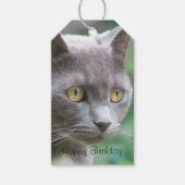 Gray Kitty Cat Cadeaulabel (Voorkant)