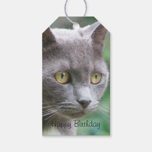 Gray Kitty Cat Cadeaulabel (Voorkant)