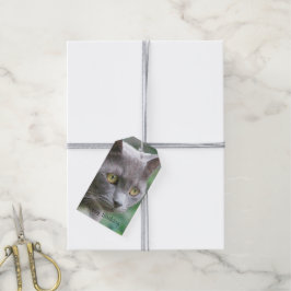 Gray Kitty Cat Cadeaulabel