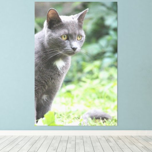 Gray Kitty Cat Canvas Afdruk (Insitu (Houten vloer))