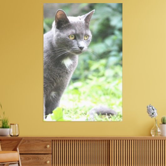Gray Kitty Cat Canvas Afdruk (Insitu (Woonkamer))