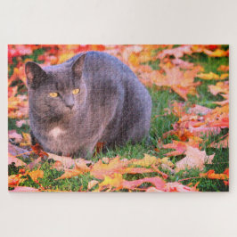 Gray Kitty Cat Legpuzzel