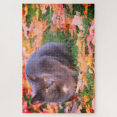 Gray Kitty Cat Legpuzzel (Verticaal)