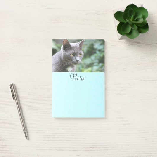 Gray Kitty Cat Post-it® Notes (Kantoor)