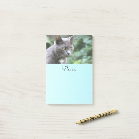 Gray Kitty Cat Post-it® Notes (Op bureau)