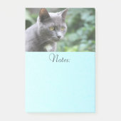 Gray Kitty Cat Post-it® Notes (Voorkant)