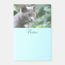 Gray Kitty Cat Post-it® Notes