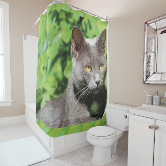 Gray Kitty Cat Shower Curtain Douchegordijn (In situ)