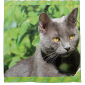 Gray Kitty Cat Shower Curtain Douchegordijn (Voorkant)