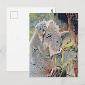 Gray koala bears briefkaart (Voorkant / Achterkant)