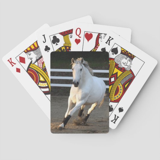 Gray Lusitano bij de vrijspeelkaarten Pokerkaarten (Achterkant)