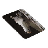 Gray Mare Beauful Horse Magnet Magneet (Rechterzijde)