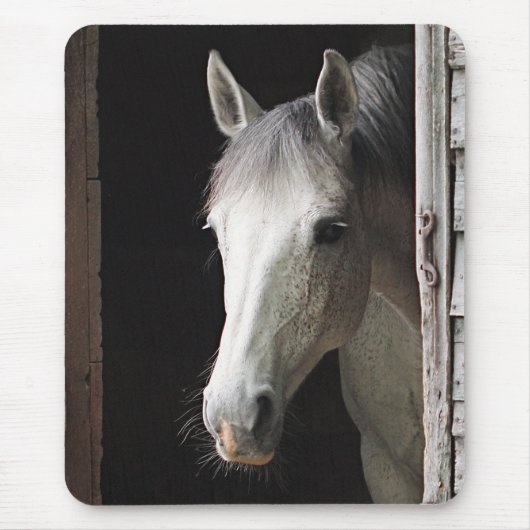 Gray Mare Horse Animals Mousepad Muismat (Voorkant)