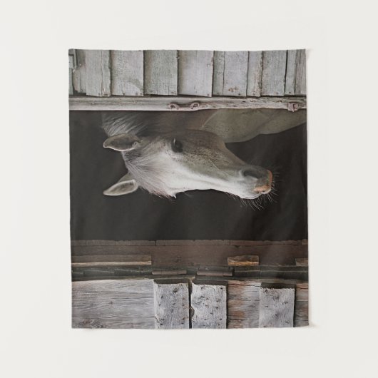 Gray Mare Horse Animals Wandkleed (Voorkant)