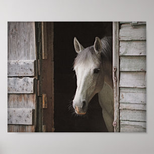 Gray Mare Horse & Barn Archival Poster