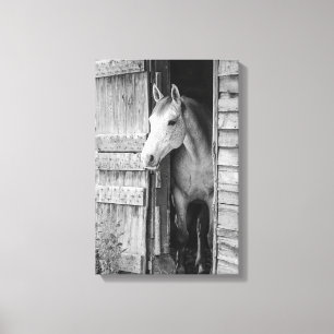 Gray Mare Horse & Barn Black en White Canvas Afdruk