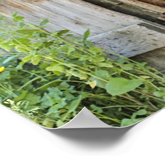 Gray Mare Horse & Barn Poster (Hoek)