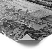 Gray Mare Horse & Barn Poster (Hoek)