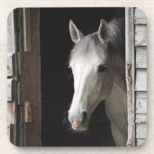 Gray Mare Horse Bier Onderzetter