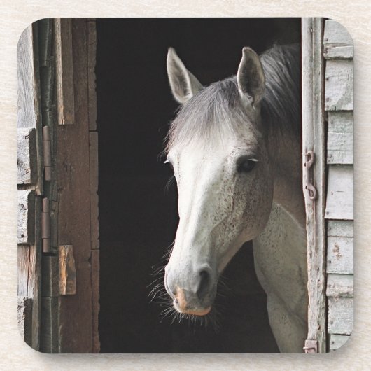 Gray Mare Horse Bier Onderzetter (Voorkant)