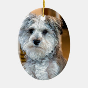 Gray Miniature Schnauzer Keramisch Ornament