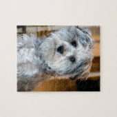 Gray Miniature Schnauzer Legpuzzel (Horizontaal)