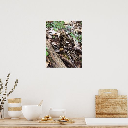 Gray Morel Poster (Keuken)