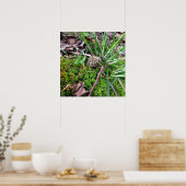 Gray Morel Poster (Keuken)