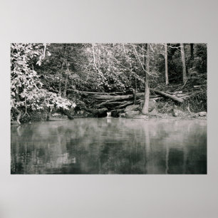 Gray Morning Poster
