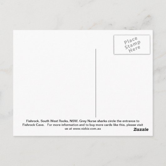 Gray Nurse Shark Briefkaart (Achterkant)