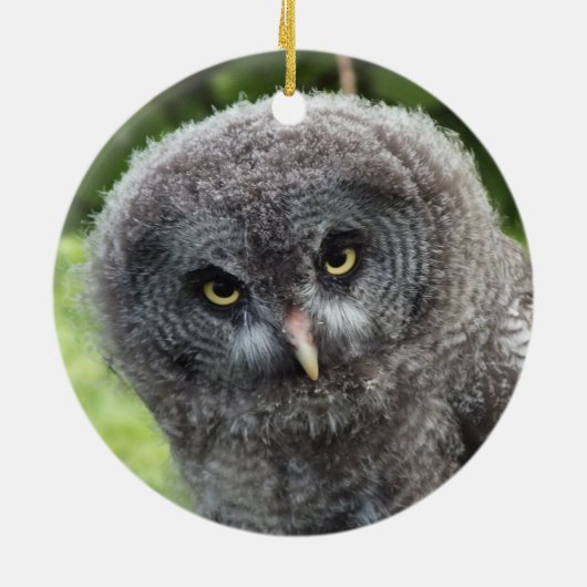 GRAY OWL KERAMISCH ORNAMENT (Achterkant)