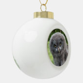GRAY OWL KERAMISCHE BAL ORNAMENT (Links)