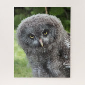 GRAY OWL LEGPUZZEL (Verticaal)