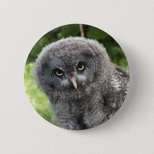 GRAY OWL RONDE BUTTON 5,7 CM (Voorkant)