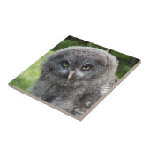 GRAY OWL TEGELTJE (Zijkant)