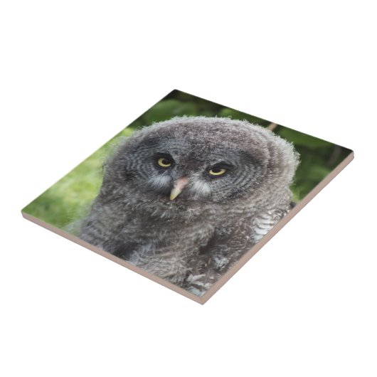 GRAY OWL TEGELTJE (Zijkant)