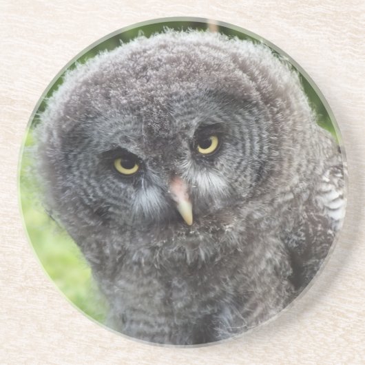 GRAY OWL ZANDSTEEN ONDERZETTER (Voorkant)