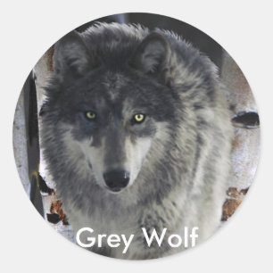 GRAY PACK WOLF Collectie Ronde Sticker