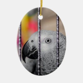 Gray Parrot Keramisch Ornament