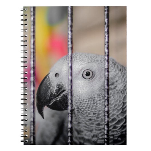 Gray Parrot Notitieboek (Voorkant)