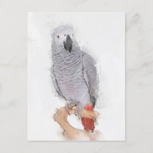 Gray Parrot Portrait Faux  Briefkaart