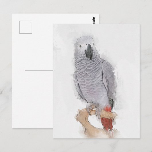 Gray Parrot Portrait Faux Briefkaart (Voorkant / Achterkant)