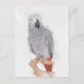 Gray Parrot Portrait Faux Briefkaart (Voorkant)