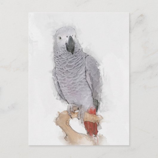 Gray Parrot Portrait Faux Briefkaart (Voorkant)