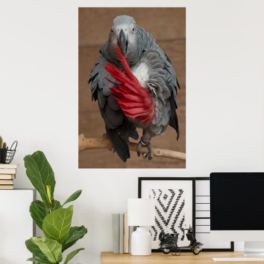 Gray Parrot Poster (Thuiskantoor)
