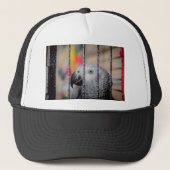 Gray Parrot Trucker Pet (Voorkant)
