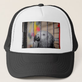 Gray Parrot Trucker Pet