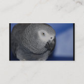 Gray Parrot Visitekaartje (Achterkant)