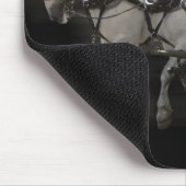 Gray Percheron Draft Horses - Vier Aborst Muismat (Hoek)