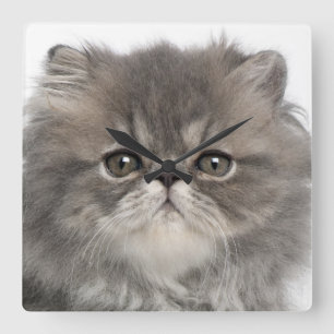 Gray Persian Kitten Vierkante Klok